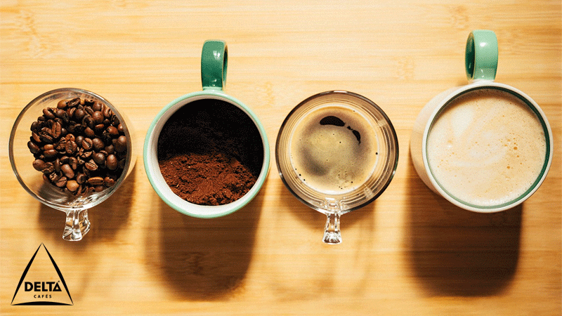 Processo de transformação dos grãos de café da marca portuguesa Delta Cafés, desde grãos inteiro e torrado, ao café moído, passando pelo café expresso e até ao cappuccino.