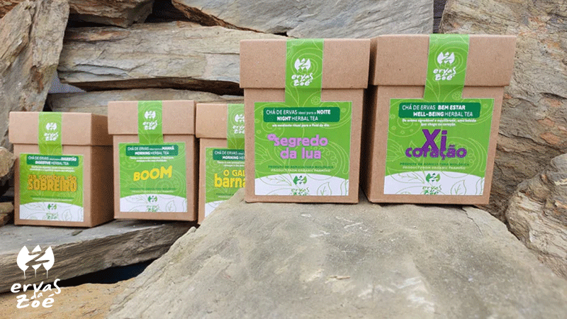 Seleção de chás e infusões biológicas da marca portuguesa ERVAS DA ZOÉ®, apresentada em embalagens de cartão sobre um cenário de pedra.