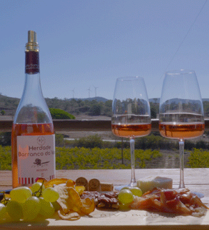 Vinho Rosé da marca portuguesa Herdade Barranco do Vale, produzido em São Bartolomeu de Messines, no Algarve, elaborado a partir da casta tradicional algarvia Negra Mole, proveniente de vinhas velhas com mais de 60 anos. 