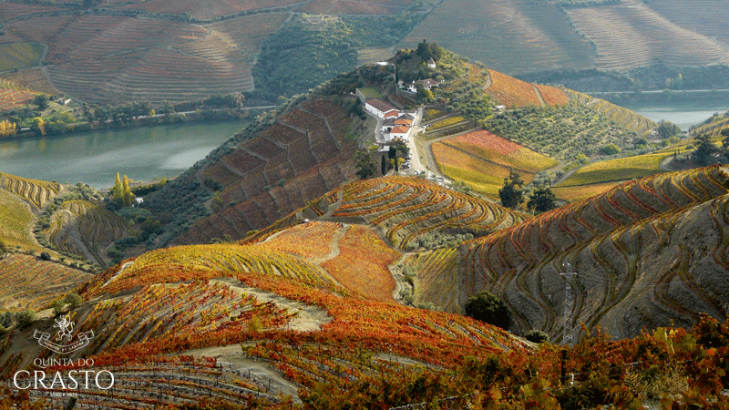 paisagem da quinta do crasto no douro durante o outono
