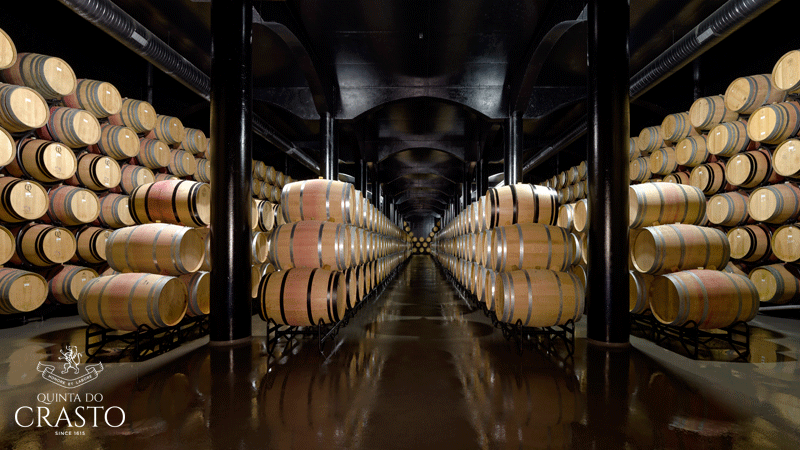 cave de barricas da quinta do crasto no douro